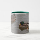 Search for mallard mugs Photography