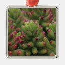 Search for museum christmas tree decorations Pink