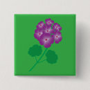 Search for geranium badges Nature