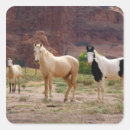 Search for reserves stickers Animal