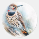 Search for flickers stickers Yellowhammer