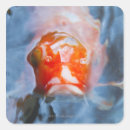 Search for koi carp stickers Wildlife