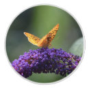 Search for butterfly drawer knobs and pulls Purple