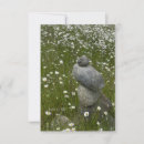 Search for daisy note cards Stationary