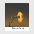 Search for vintage oil stickers Antique