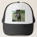 Search for horse hats White