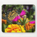 Search for marigolds mousepads Nature