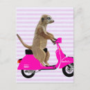 Search for mopeds postcards Animals
