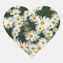 Search for daisy heart stickers Bloom