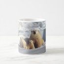 Search for polar bear cub mugs Bears