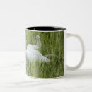 Search for full length mugs Rural scene