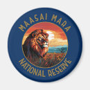Search for lion magnets Africa