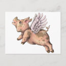 Search for flying pigs postcards Cute
