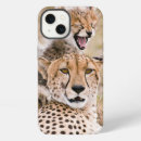 Search for cubs iphone cases Cat