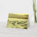 Search for miscellanous cards Landscapes