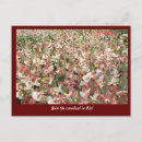 Search for rio carnival postcards Vintage