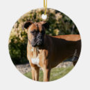 Search for boxer christmas tree decorations Fawn