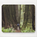 Search for sequoia mousepads Landscape