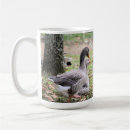 Search for geese mugs Nature