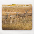 Search for wild one mousepads Nature