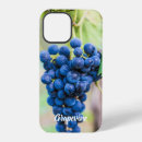 Search for grape vines iphone cases Wine