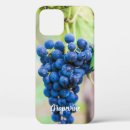 Search for grapes cases Grapevine