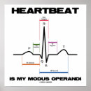 Search for sinus posters Electrocardiogram