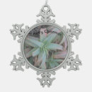 Search for succulent christmas tree decorations Greenery
