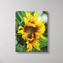 Search for sunflower painting canvas prints Cheerful