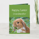Search for grandmother easter cards Rabbit