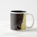 Search for american bison mugs Nature