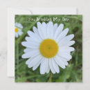 Search for brighten day cards Daisy