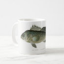 Search for sea bass mugs Fishing