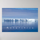 Search for iceberg posters Blue