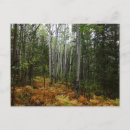 Search for white mountains postcards Nature