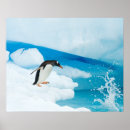 Search for jumping posters Bird