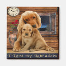 Search for labrador retriever magnets Funny