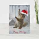 Search for funny squirrel christmas cards Wildlife