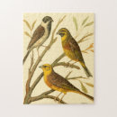 Search for bird puzzles Branch