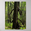 Search for save the environment posters Trees