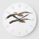 Search for white feather clocks Nature