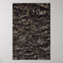 Search for tree trunk posters Surface
