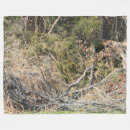 Search for camo blankets Hunter