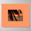 Search for splendour posters Tropical