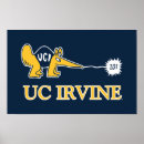 Search for anteaters posters University of california irvine