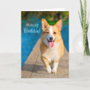 Search for dog butt cards Puppy