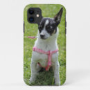 Search for chihuahuas cases Sweet