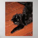 Search for cat stretching posters Black