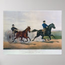 Search for riding horse posters Brown