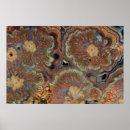 Search for onyx posters Mineral